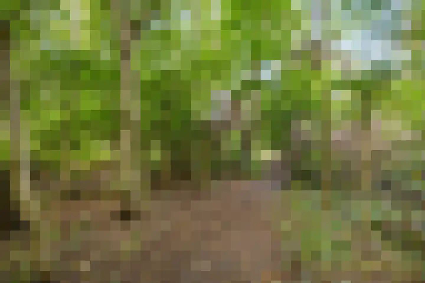 Zwarteweg 7 Gieterveen thumbnail 72