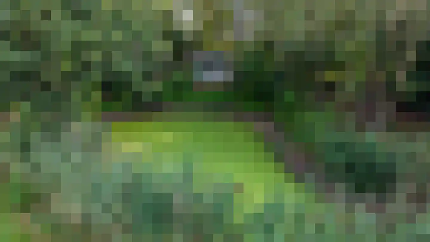 Zwarteweg 7 Gieterveen thumbnail 73