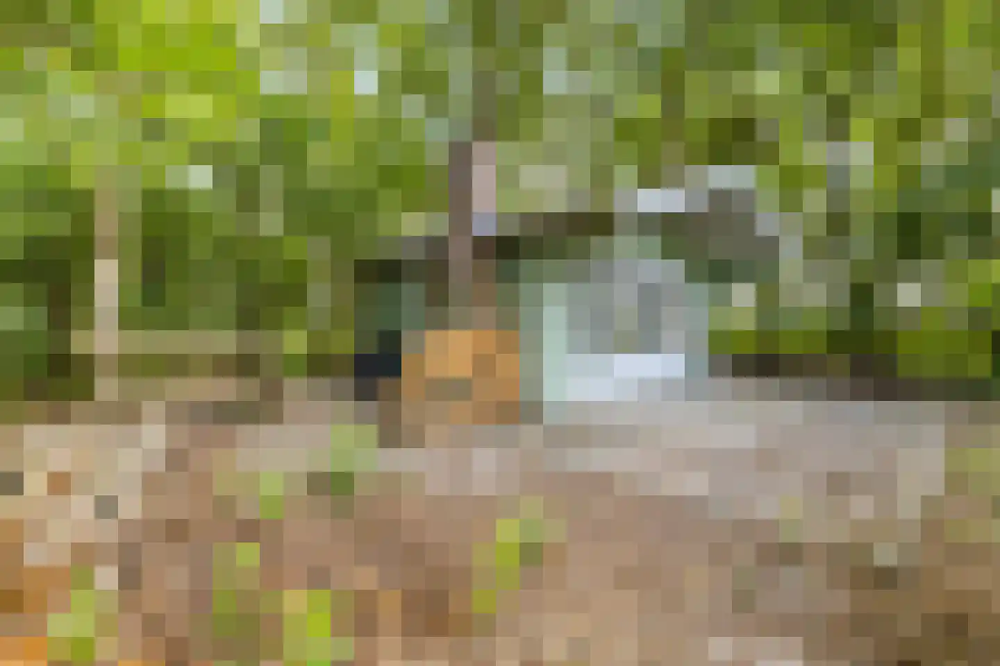 Zwarteweg 7 Gieterveen thumbnail 74
