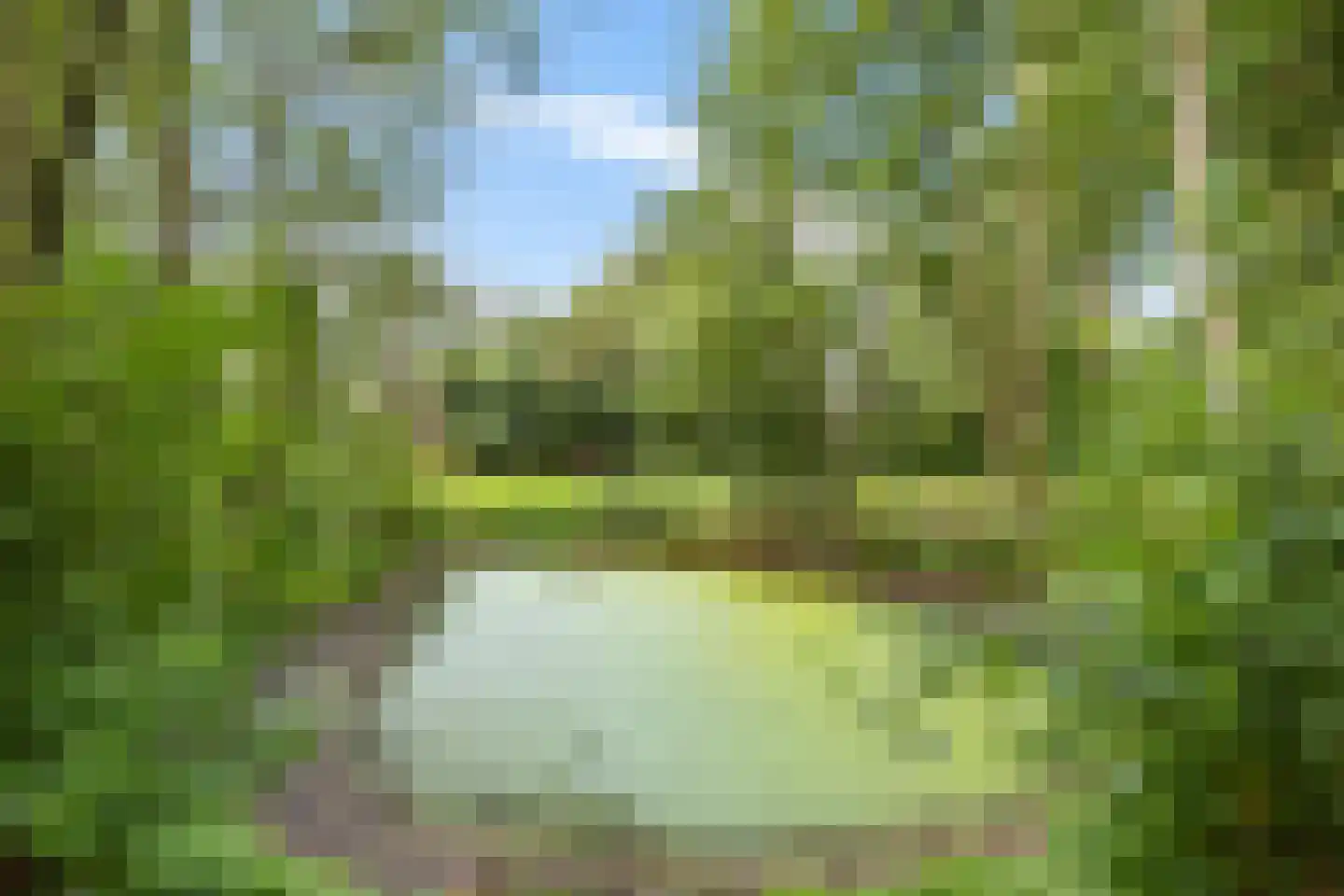 Zwarteweg 7 Gieterveen thumbnail 76