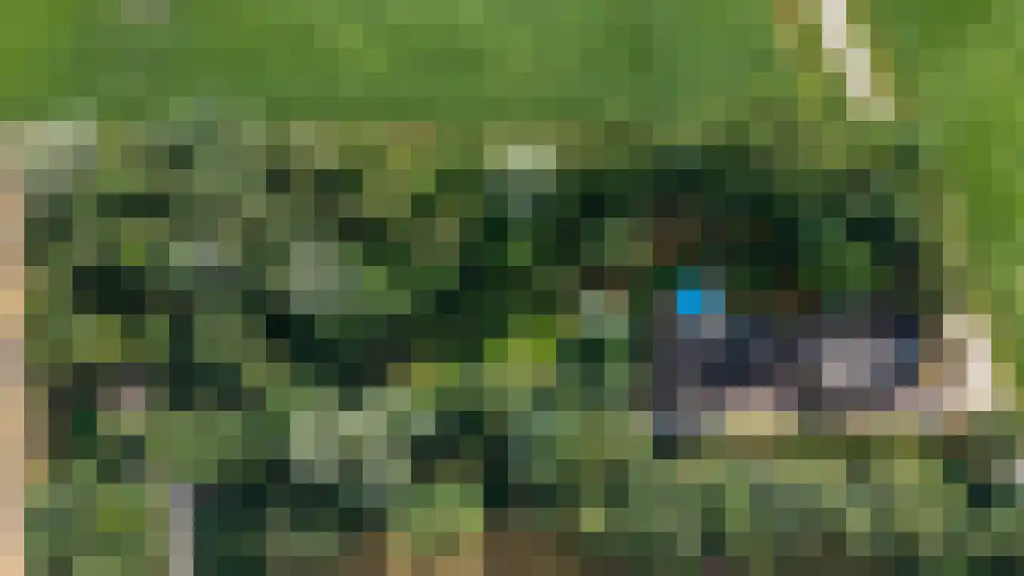 Zwarteweg 7 Gieterveen thumbnail 77