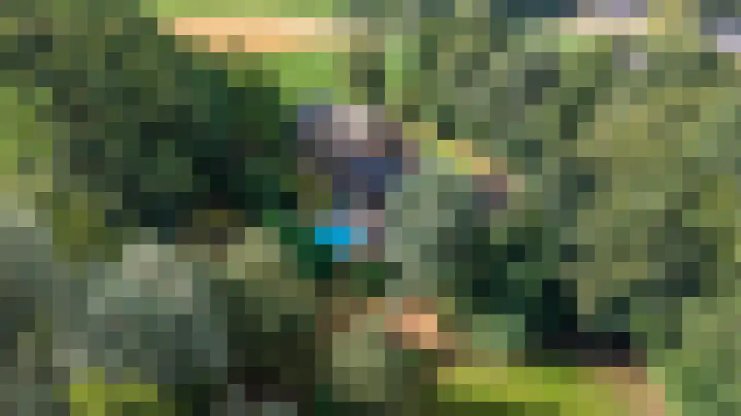 Zwarteweg 7 Gieterveen thumbnail 78