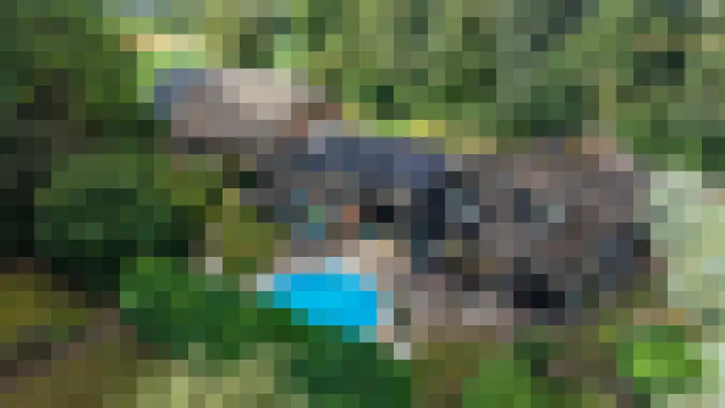Zwarteweg 7 Gieterveen thumbnail 79