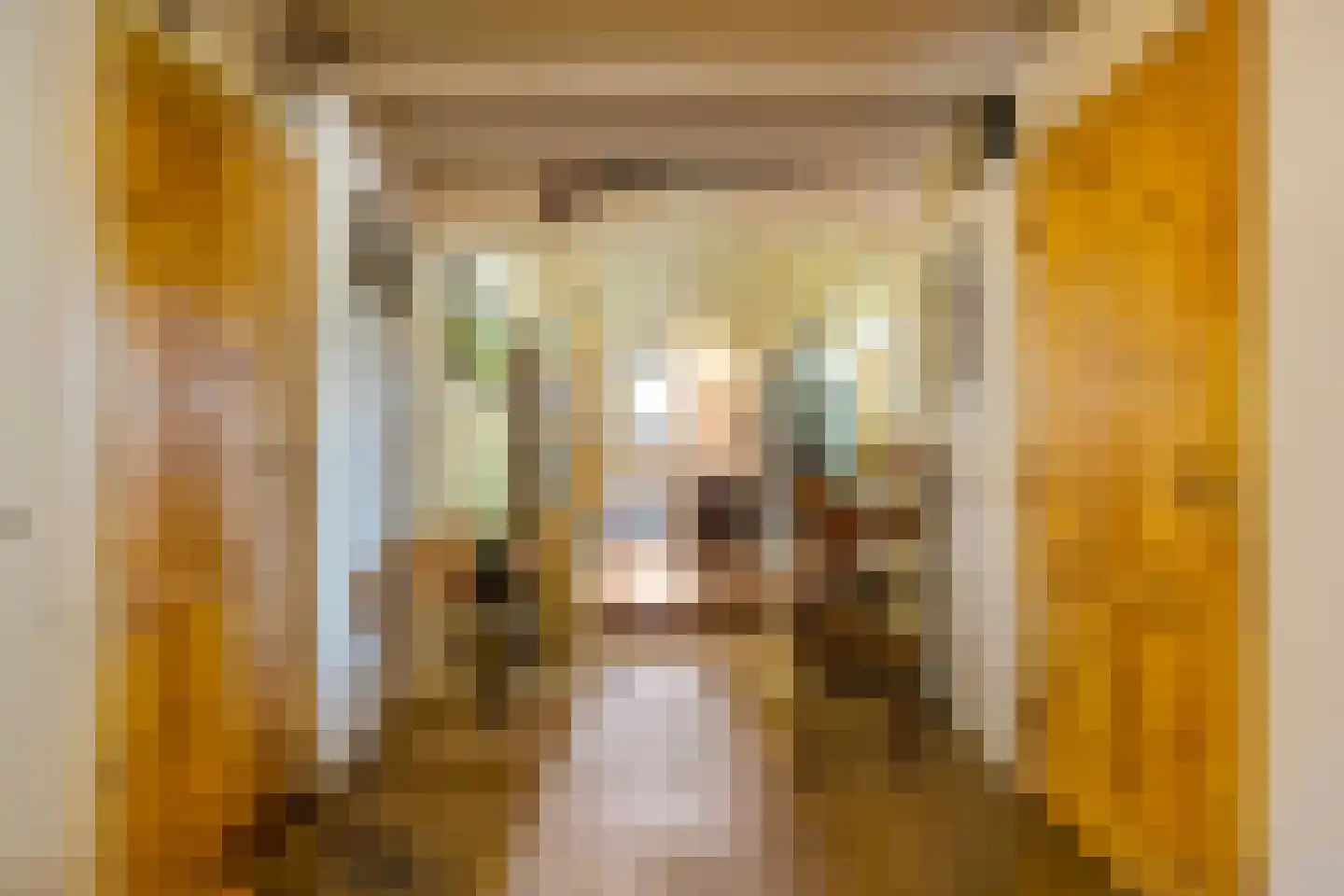 Zwarteweg 7 Gieterveen thumbnail 8