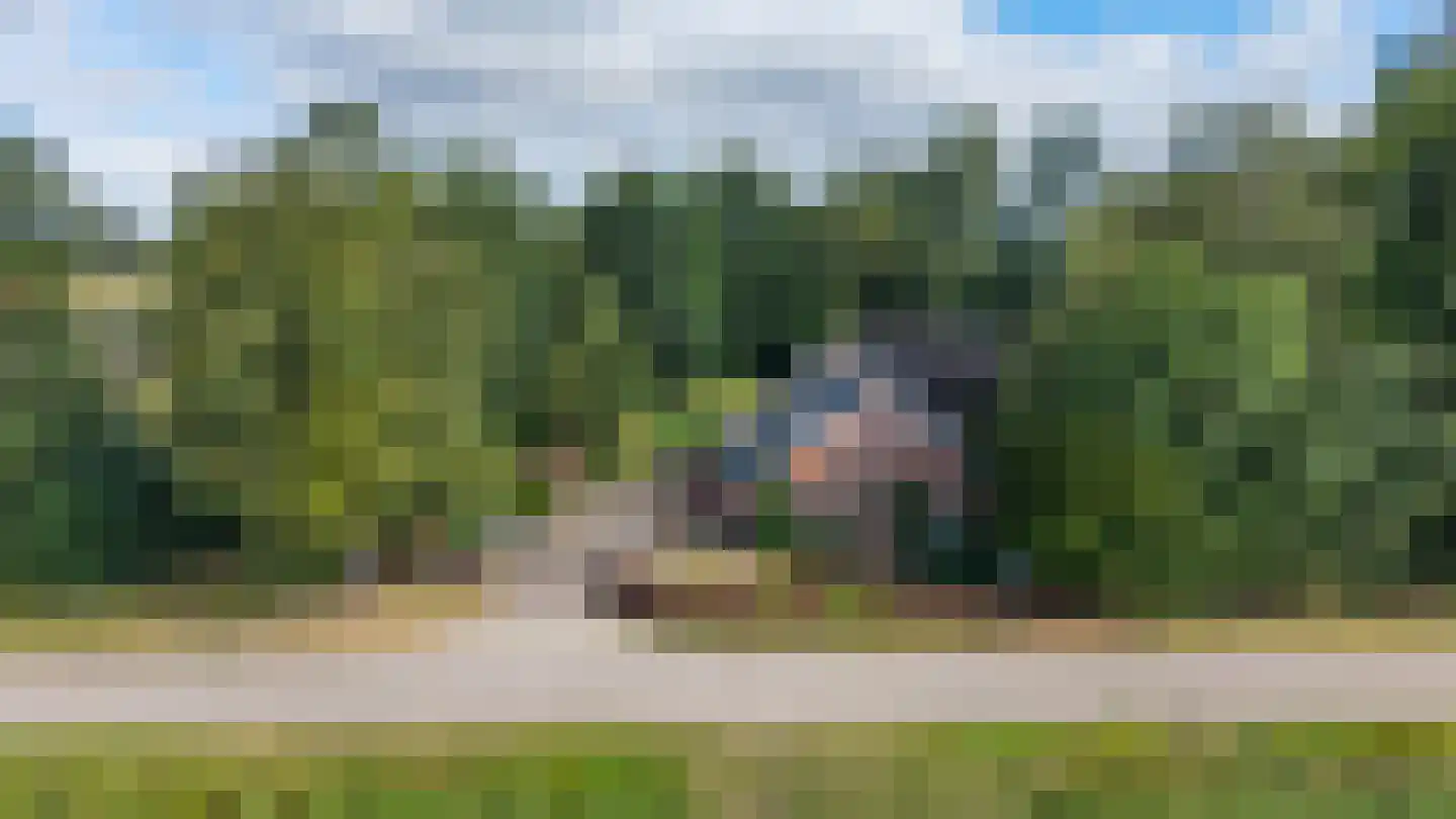 Zwarteweg 7 Gieterveen thumbnail 80