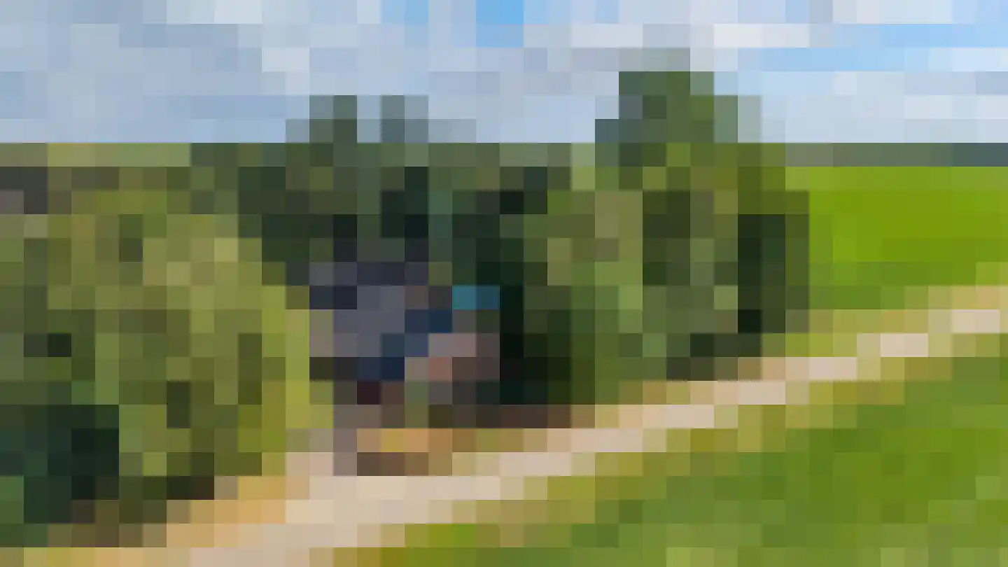 Zwarteweg 7 Gieterveen thumbnail 81