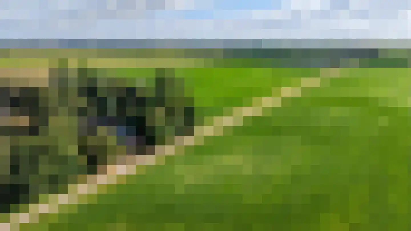 Zwarteweg 7 Gieterveen thumbnail 82