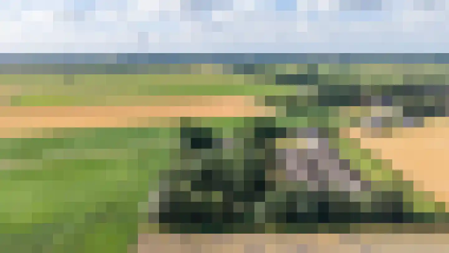 Zwarteweg 7 Gieterveen thumbnail 83