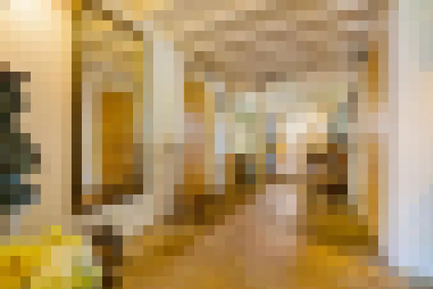 Zwarteweg 7 Gieterveen thumbnail 9