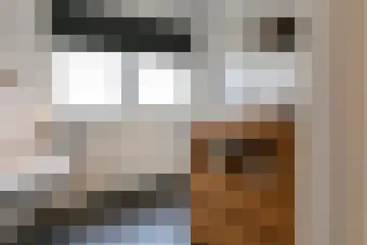 Zwarteweg 7 Rheden thumbnail 15