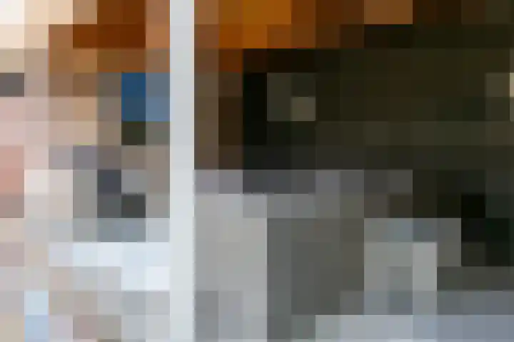 Zwarteweg 7 Rheden thumbnail 24