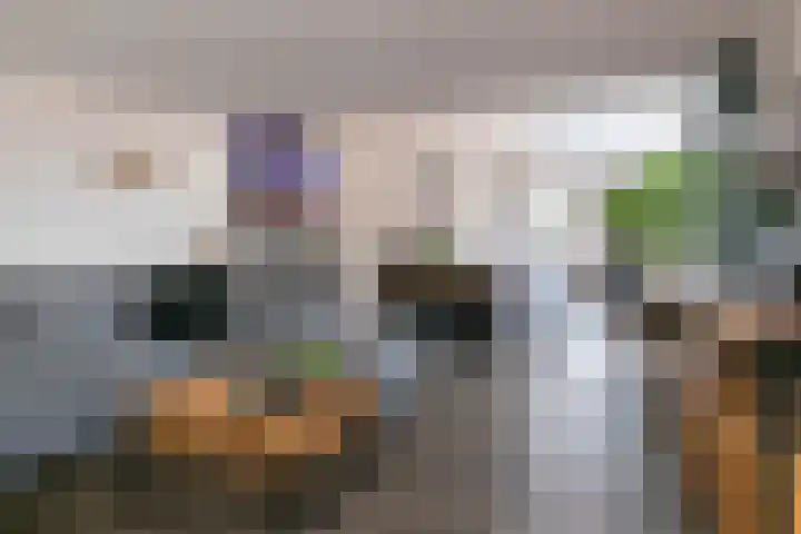 Zwarteweg 7 Rheden thumbnail 4