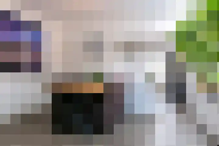 Zwarteweg 7 Rheden thumbnail 5