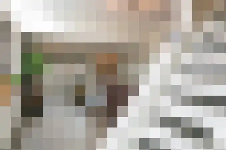 Zwarteweg 7 Rheden thumbnail 9