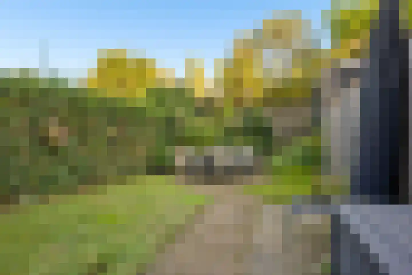 Zwarteweg 7 Rhenen thumbnail 25