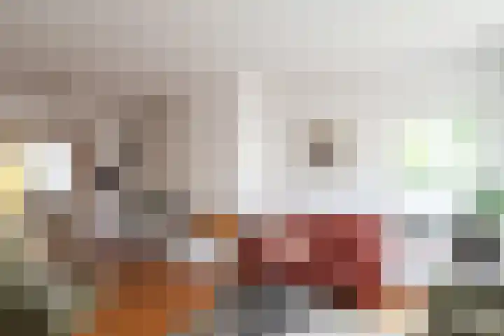 Zwarteweg 7 Vijfhuizen thumbnail 10