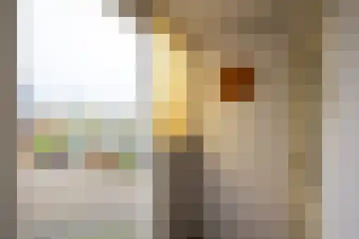 Zwarteweg 7 Vijfhuizen thumbnail 18