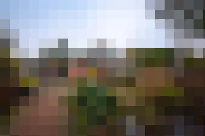 Zwarteweg 7 Vijfhuizen thumbnail 30