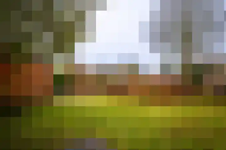 Zwarteweg 7 Vijfhuizen thumbnail 31