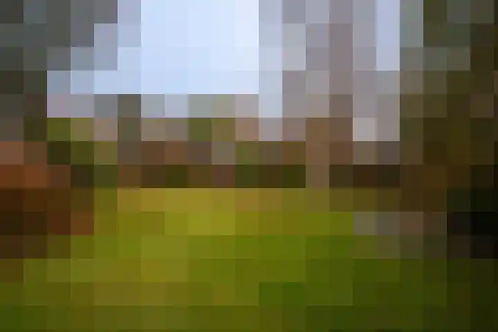 Zwarteweg 7 Vijfhuizen thumbnail 32