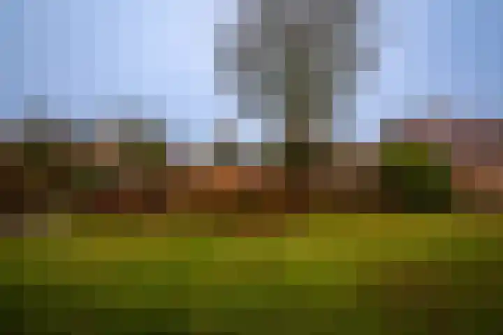 Zwarteweg 7 Vijfhuizen thumbnail 33