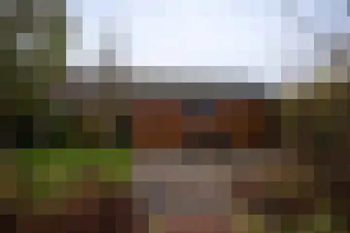 Zwarteweg 7 Vijfhuizen thumbnail 34