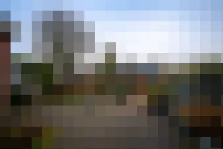 Zwarteweg 7 Vijfhuizen thumbnail 35