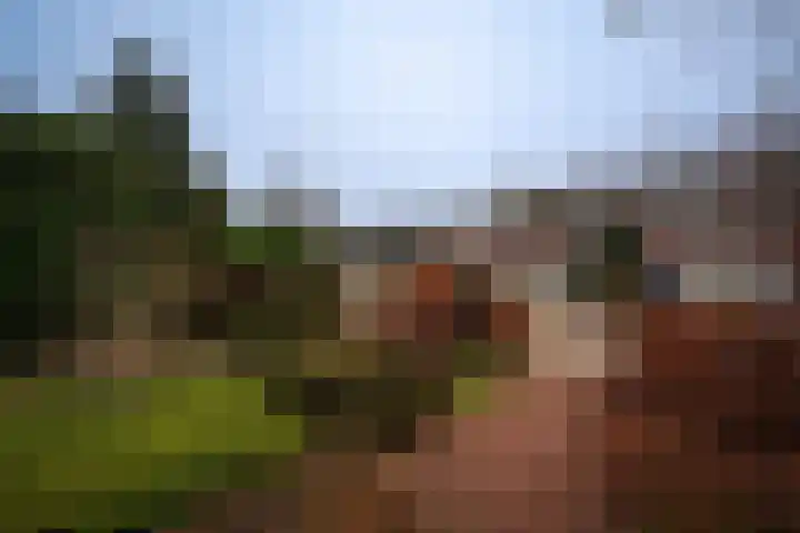 Zwarteweg 7 Vijfhuizen thumbnail 38