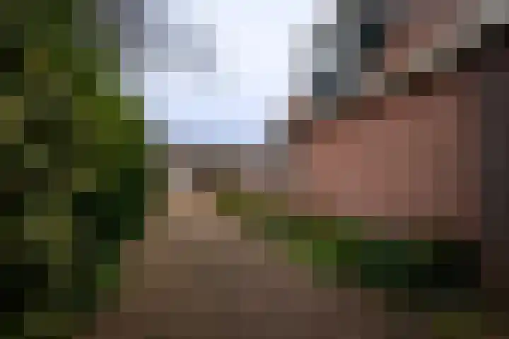 Zwarteweg 7 Vijfhuizen thumbnail 39