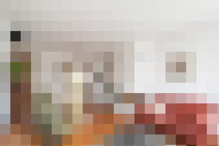 Zwarteweg 7 Vijfhuizen thumbnail 6
