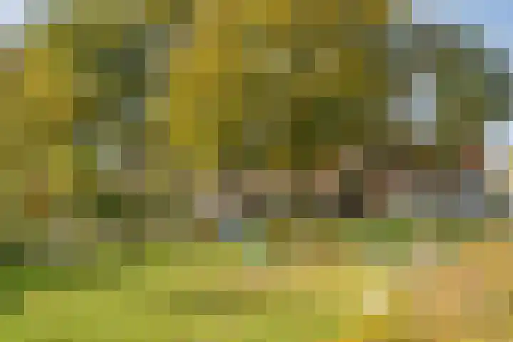 Zwarteweg 7 Zwolle thumbnail 31