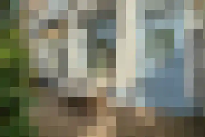 Zwarteweg 7 Zwolle thumbnail 6