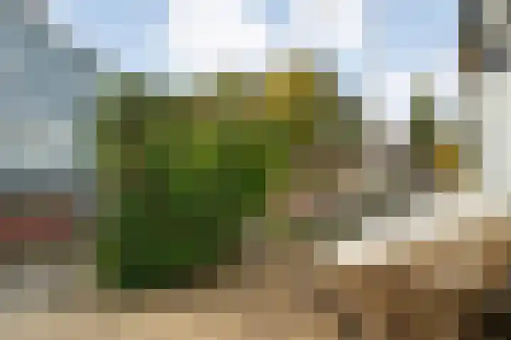 Zwarteweg 7 Zwolle thumbnail 7