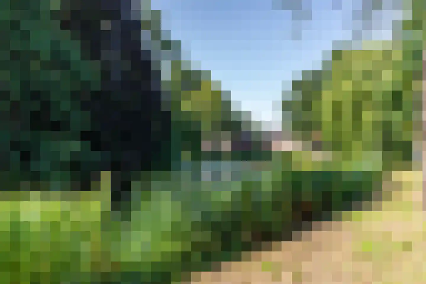 Zwarteweg 8 Groningen thumbnail 18