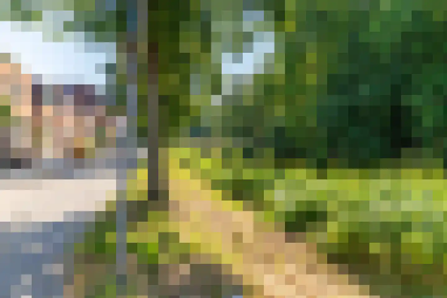 Zwarteweg 8 Groningen thumbnail 19