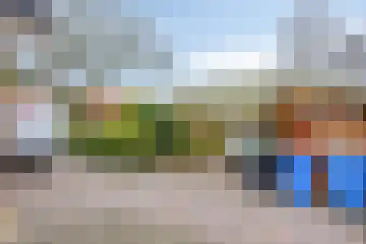Zwarteweg 80 Zwolle thumbnail 38