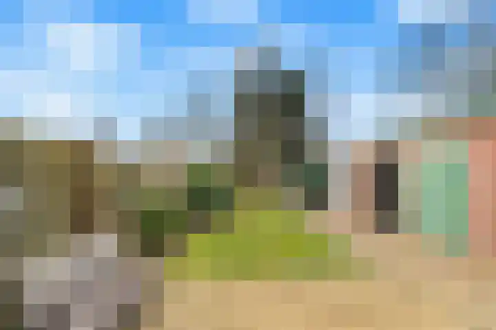 Zwarteweg 88 Zwolle thumbnail 32