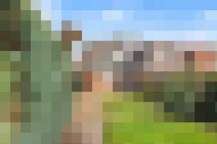 Zwarteweg 88 Zwolle thumbnail 33