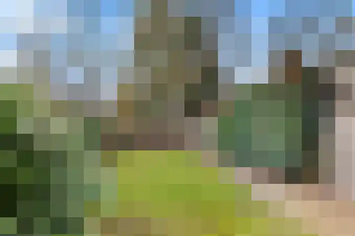 Zwarteweg 88 Zwolle thumbnail 35