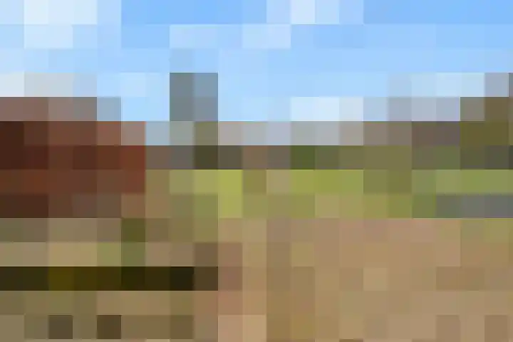 Zwarteweg 88 Zwolle thumbnail 38
