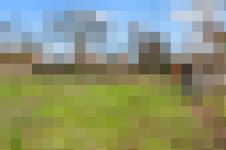 Zwarteweg 88 Zwolle thumbnail 39
