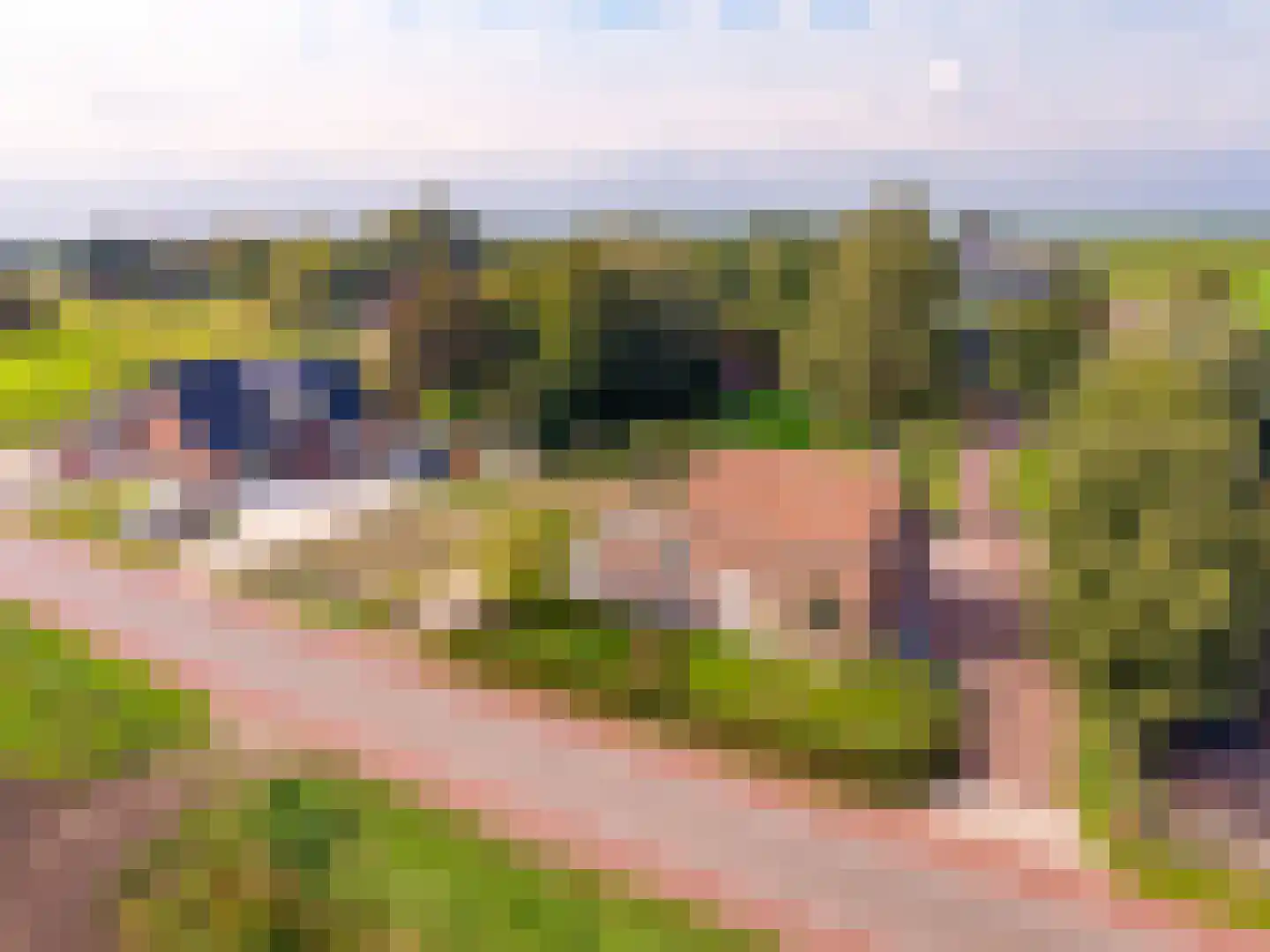 Zwarteweg 91 Oosterwolde Gld thumbnail 4