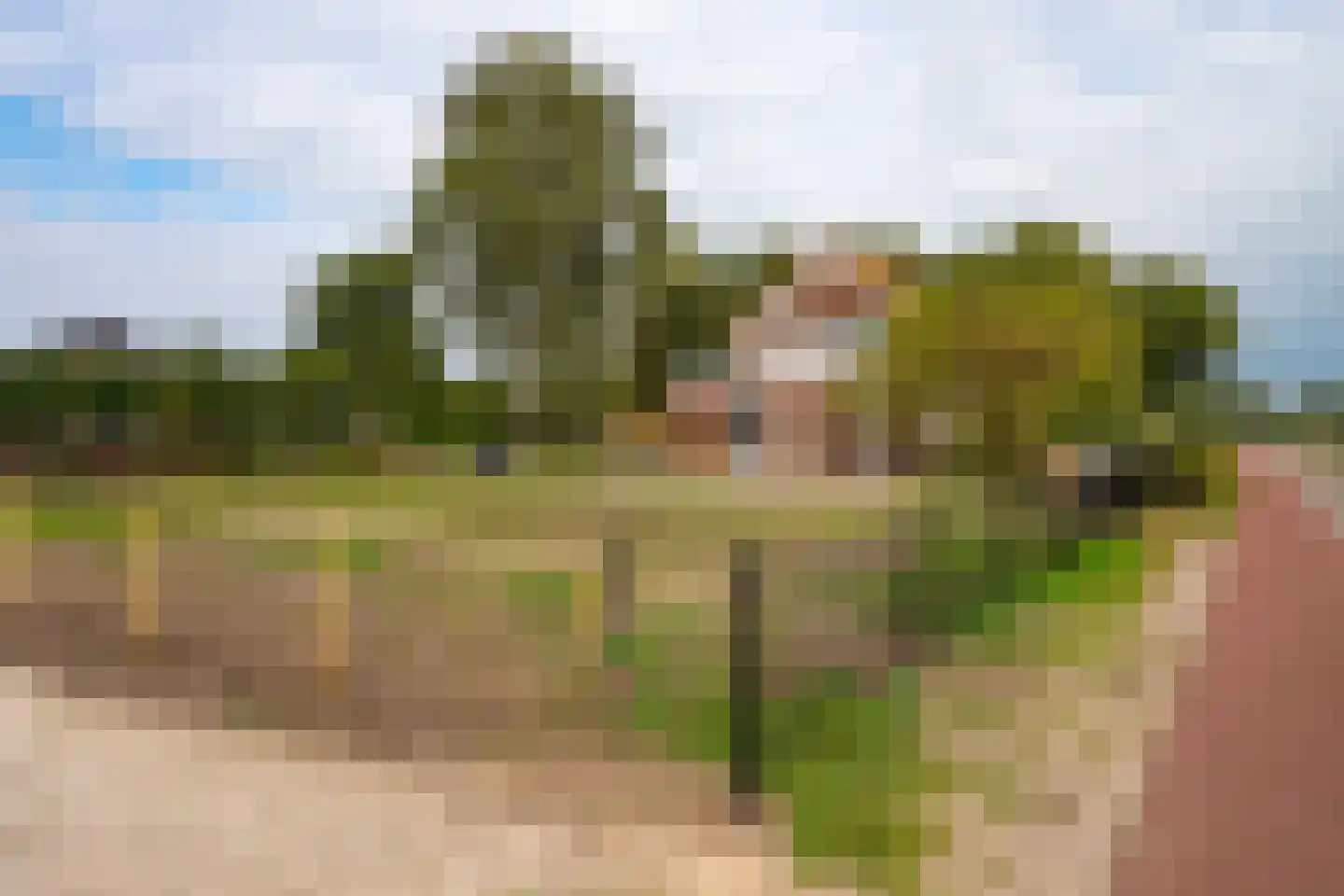Zwarteweg 91 Oosterwolde Gld thumbnail 44