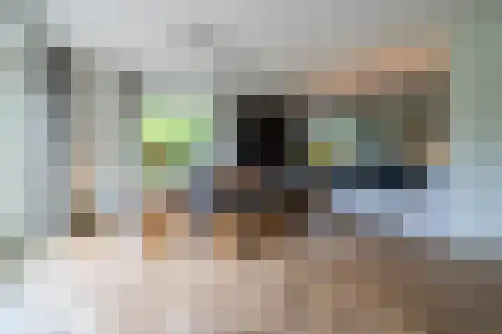 Zwarthalszwaan 7 Wildervank thumbnail 10