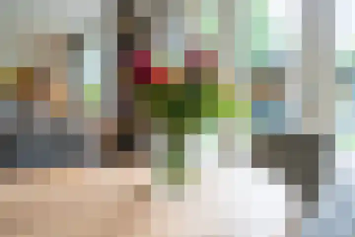 Zwarthalszwaan 7 Wildervank thumbnail 11