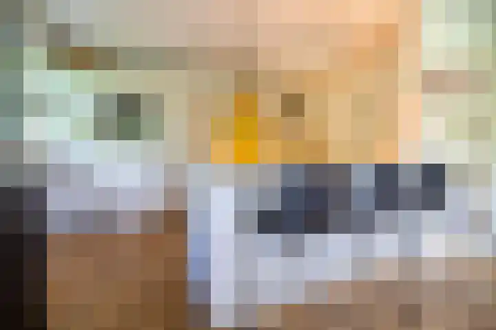 Zwarthalszwaan 7 Wildervank thumbnail 12