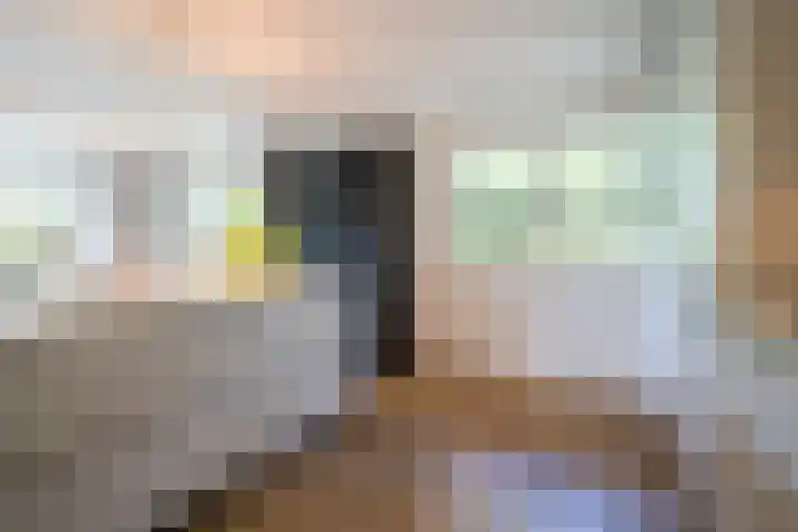 Zwarthalszwaan 7 Wildervank thumbnail 14