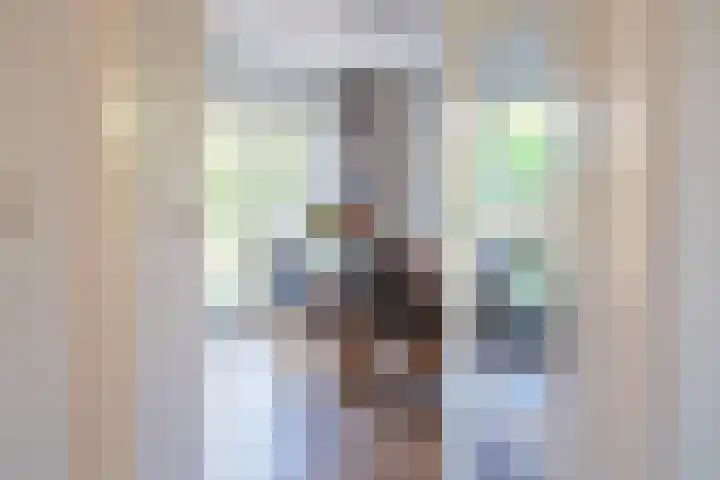 Zwarthalszwaan 7 Wildervank thumbnail 15