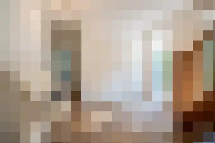 Zwarthalszwaan 7 Wildervank thumbnail 17