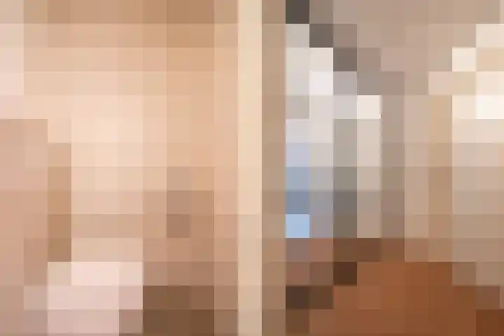 Zwarthalszwaan 7 Wildervank thumbnail 21